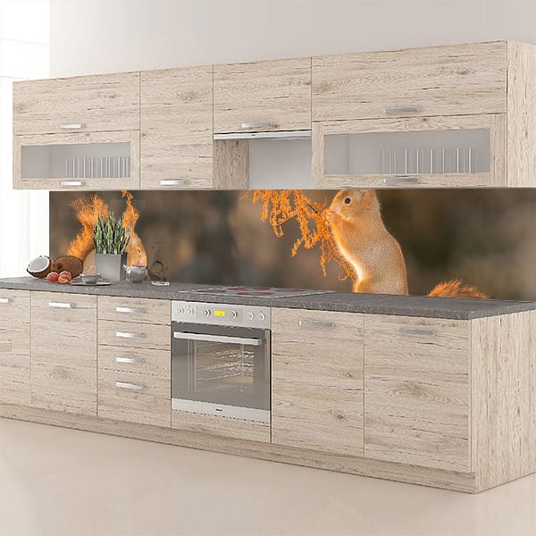 crédence écureuils roux