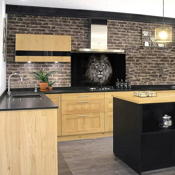 crédence tête lion fond hotte