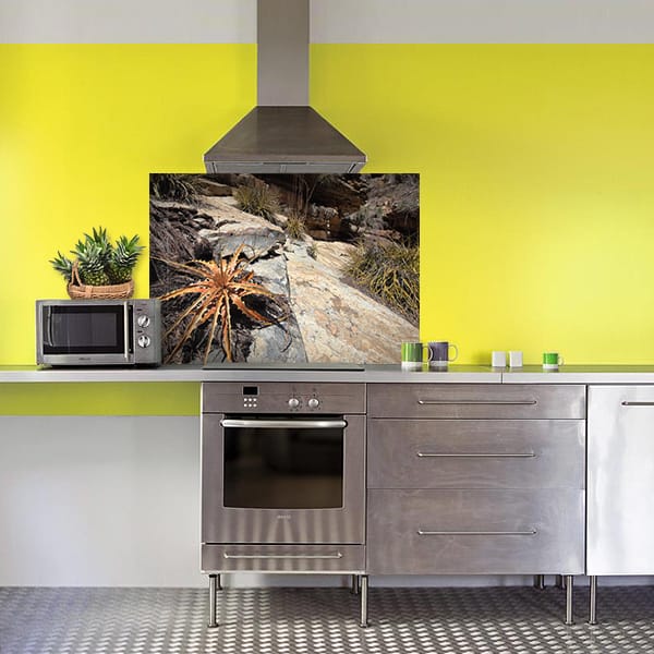 crédence plante rocheuse fond hotte