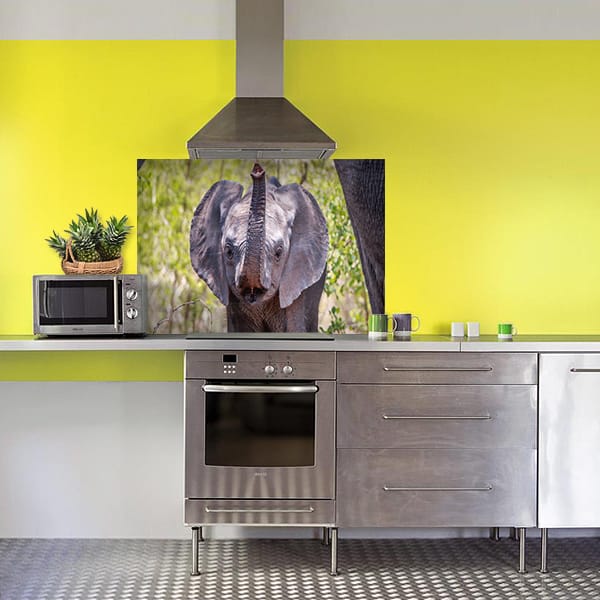 crédence éléphanto fond hotte