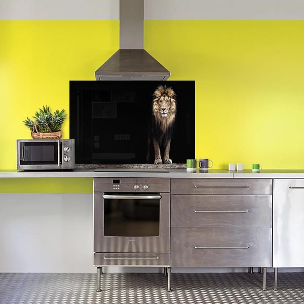 crédencelion garde fond hotte