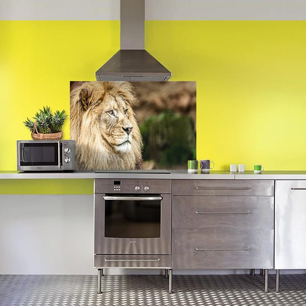 crédence tête lion crinière fond hotte