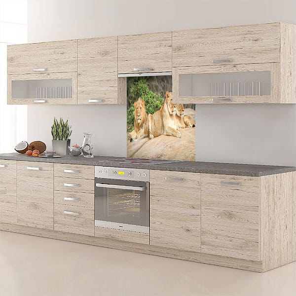 crédence lion & lionne fond hotte